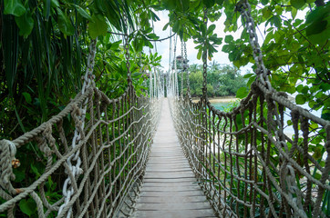 Obraz premium Bridge between two islands