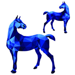 two horses in blue, isolated image on a white background in the low poly style
