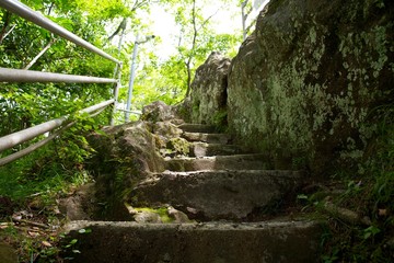 森林の石段