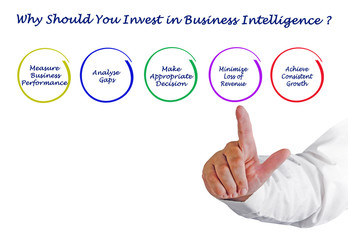 Why Should You Invest in Business Intelligence