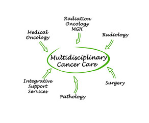 Elements of Multidisciplinary Cancer Care.