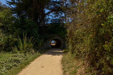 sandy hiking trail to McWay Falls at Julia Pfeiffer Burns State park (Big Sur, California)
