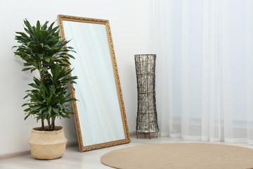 Modern interior with large mirror and dracaena plant