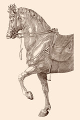 Horse with saddle and harness in vintage style on a beige background.