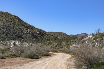 road in desert landscape 