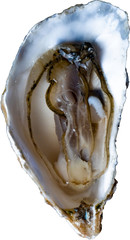 Fresh Oysters Garnished with Red Caviar, Served on Crushed Ice. Selective Focus