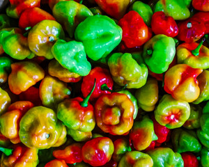 colorful peppers in market