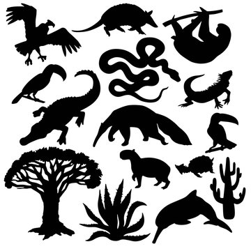 Set of vector silhouettes of the flora and fauna of South America