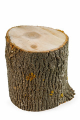 Naklejka premium logs of wood on a white isolated background.