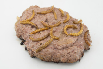 Burger with endible worm in white background