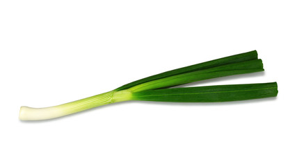 Spring onion isolated on white background