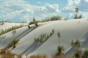 White gypsum sand dunes at White Sands National Park, New Mexico, won