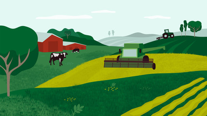 Farm land with combine harvester, cows in pasture, tractor and agricultural field. Background for agriculture, livestock or dairy company. Countryside landscape vector illustration for flyer, layout.