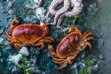 Zusammenstellung von Meeresfrüchten mit feinschmeckerischem Abendessenhintergrund der rohen frischen Krake,austern und mit roten krabben