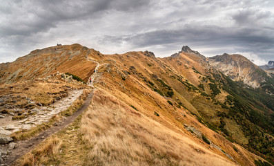 Fototapeta premium Beautiful autumn panorama landscape with a view of the Tatra Mountains