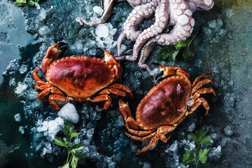 Assortment of seafood with raw fresh octopus gourmet dinner background, oysters and with red edible crab