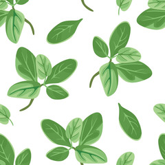 Marjoram green leaves seamless pattern. Vector illustration of fragrant herbs on white background in cartoon simple flat style.