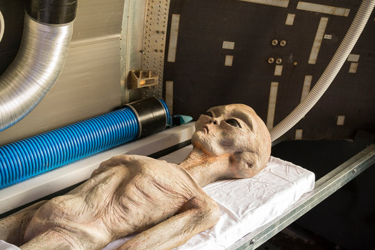 Alien