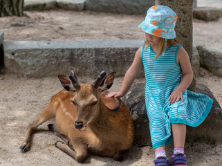 young girl at Miyajima Island visiting deer