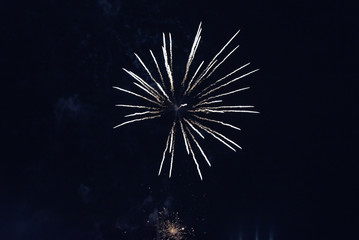 Simple white fireworks against the dark sky.