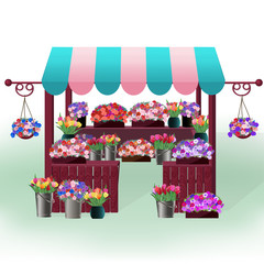 Open a flower shop or a wooden kiosk with a large number of pots and trays of flowers. Spring sale of seedlings or buds for bouquets with tulips and petunias. Vector illustration.