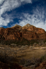 Extreme wide-angle or fisheye image of steep cliffs and winter foliage in Zion National Park, Utah