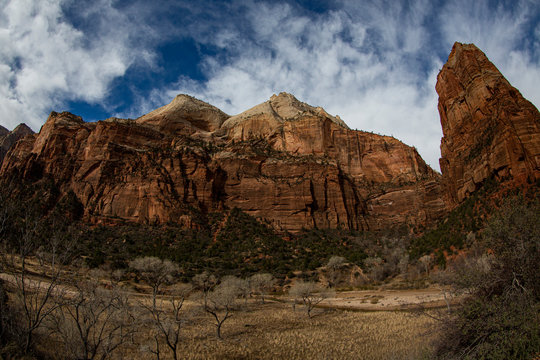 Extreme wide-angle or fisheye image of steep cliffs and winter foliage in Zion National Park, Utah