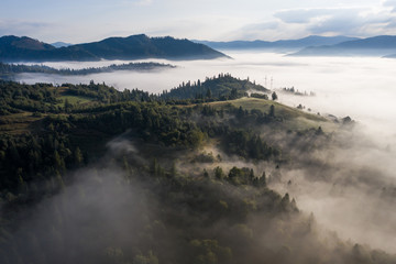 Aerial view of colorful mixed forest shrouded in morning fog on a beautiful autumn day