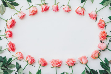 Frame of fresh pink roses in full bloom on white background. Bunch of flowers.