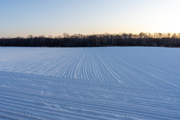 雪踏み