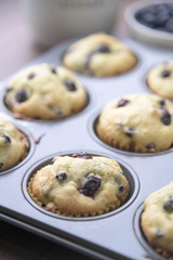 home made blueberry muffin image