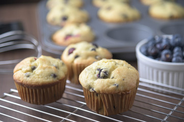 home made blueberry muffin image