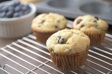 home made blueberry muffin image