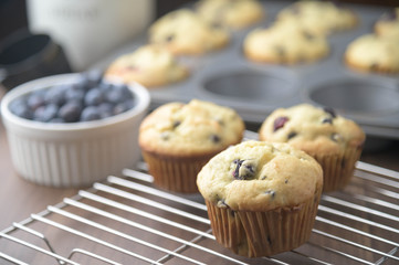 home made blueberry muffin image