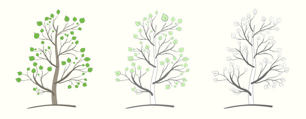 Set of trees with branches and leaves three options on a light background in vintage style