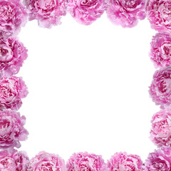 Fototapeta na wymiar Frame of pink peonies. Blank for design.