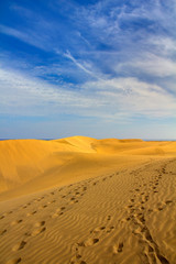 The Desert of Maspalomas on Gran Canaria, Spain