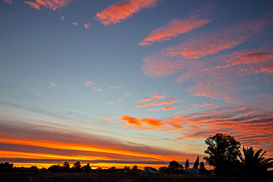 Fiery sunset with trees in foreground