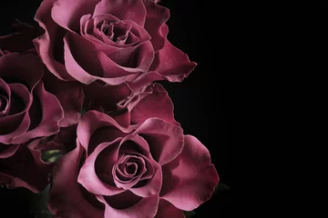 Fotobehang Beautiful roses on black background, space for text. Floral card design with dark vintage effect © New Africa