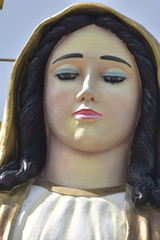 A Christian Statue Of Virgin Mary