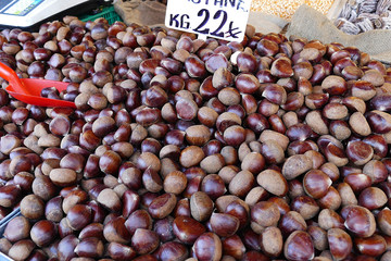 chestnut at the peddler,