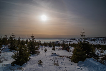 Naklejka premium Sun shining through the trees and clouds. Winter trip to Plechy and Trojmezi, Šumava national Park.