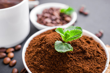 Mushroom Chaga Coffee Superfood Trend-dry and fresh mushrooms and coffee beans on dark background with mint. Coffee break