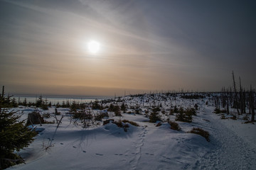 Sun shining through the trees and clouds. Winter trip to Plechy and Trojmezi, Šumava national Park.