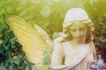 Beautiful angel in the sunlight. Fragment of antique statue.