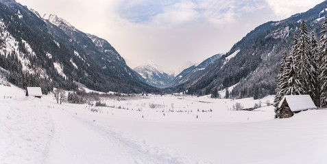 Fototapeta na wymiar Winter mountain panoramic landscape in the Alps. The valley, meadow, trees and mountains covered with snow.
