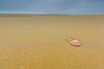 Beach or about the beach, water, sand, dunes, Camber sands.