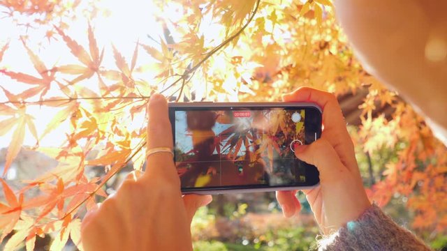 Young Mixed Race Woman Filming Video Of Momiji Trees With Her Smartphone. Japanese Autumn. 4K Slow Motion Footage. Japan.