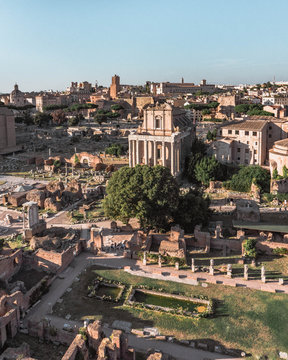 Rome - Fotografia de Viagem - Árvores e Monumento Histórico