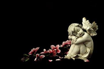 Sleeping angel and spring flowers isolated on black background